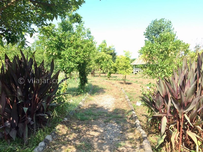 عکس شماره 633005 - اجاره ویلا در شمال گیلان - 