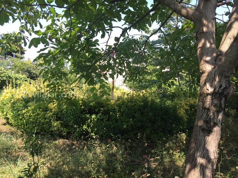 عکس شماره 633008 - اجاره ویلا در شمال گیلان - 