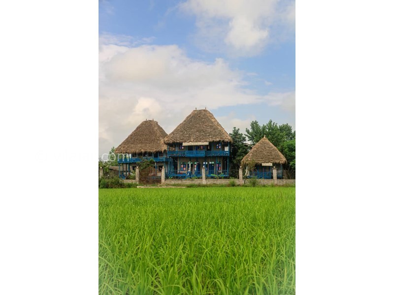 عکس شماره 633018 - اقامتگاه بومگردی الاسوسو - 