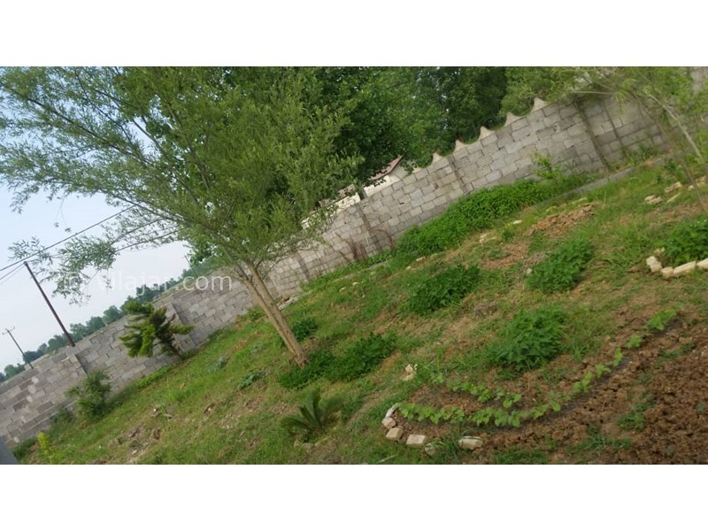 عکس شماره 634352 - اجاره ویلا در رشت - 