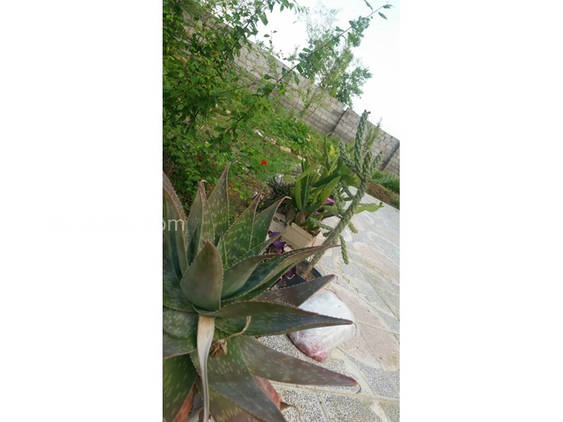 عکس شماره 634355 - اجاره ویلا در رشت - 