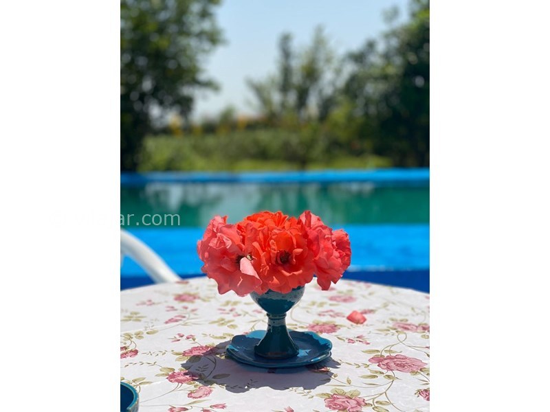 عکس شماره 634375 - اجاره ویلا استخر روباز نزدیک خمام - 