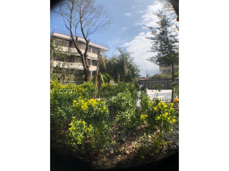 عکس شماره 635162 - اجاره ویلا باغ با ویو دریا نوشهر - 