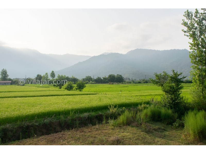 عکس شماره 635338 - کلبه چوبی در ماسال ویو شالیزار - 