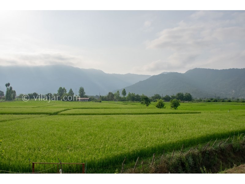 عکس شماره 635354 - کلبه چوبی در ماسال ویو شالیزار - 