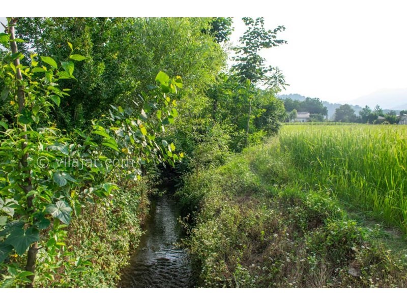 عکس شماره 635369 - کلبه چوبی در ماسال ویو شالیزار - رودخانه کنار کلبه