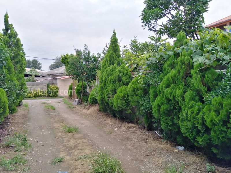 عکس شماره 635804 - اجاره سوییت در کلاچای گیلان - 