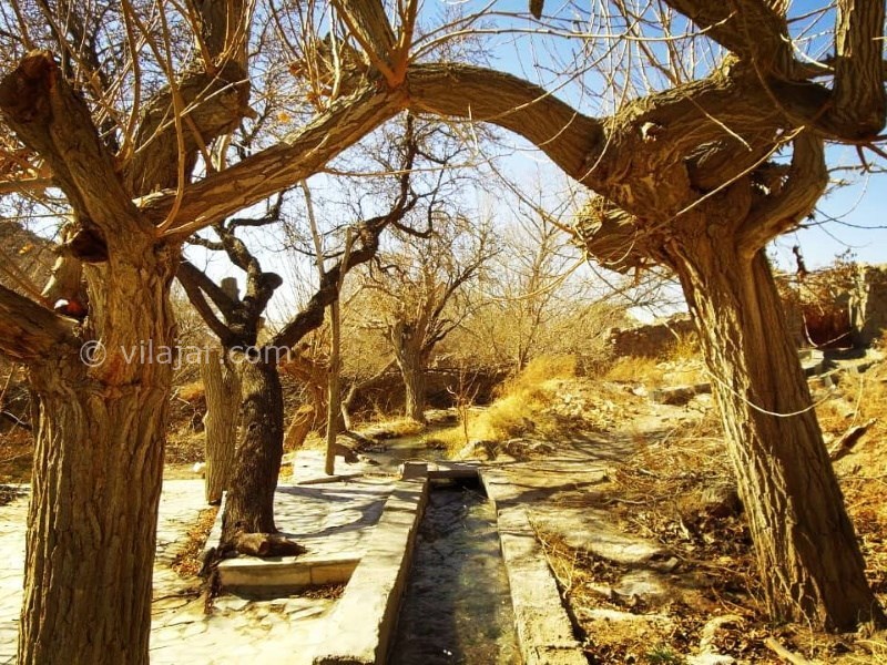 عکس شماره 636015 - اقامتگاه بومگردی بنی طبا - 