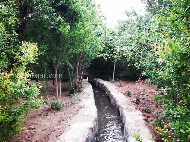 عکس شماره 636023 - اقامتگاه بومگردی بنی طبا - 