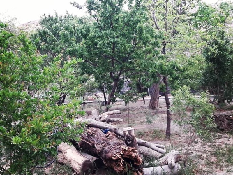 عکس شماره 636028 - اقامتگاه بومگردی بنی طبا - 