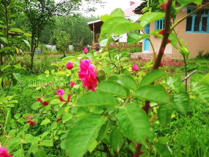 عکس شماره 636094 - اقامتگاه بومگردی شهاب میانده - 