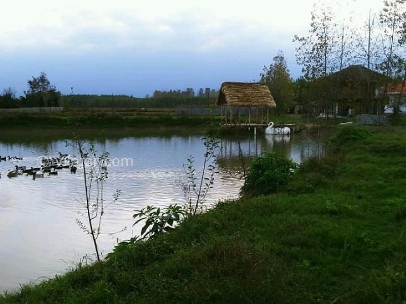 عکس شماره 636100 - اقامتگاه بومگردی شهاب میانده - 