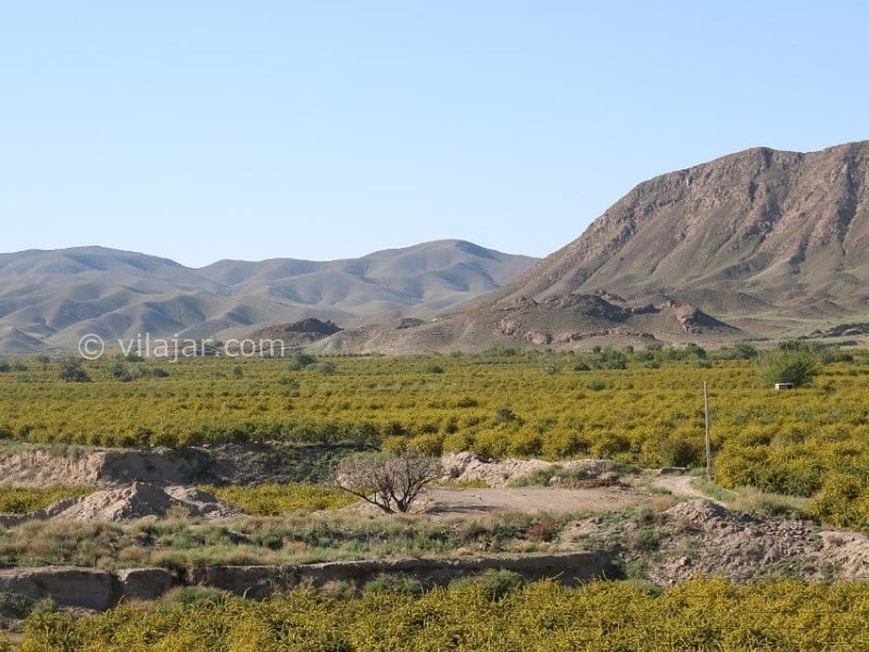 عکس شماره 637305 - اقامتگاه سرای حاجی احمد - 