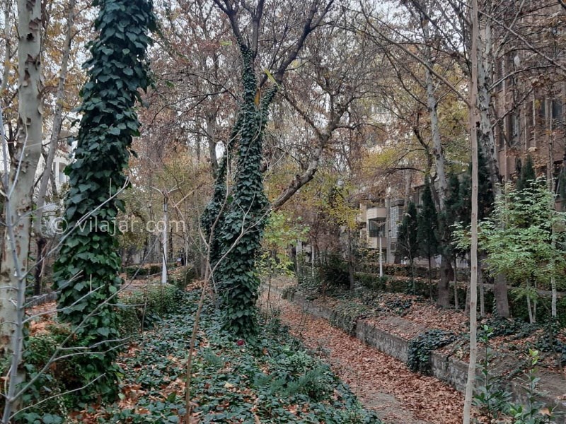 عکس شماره 637446 - اقامتگاه بومگردی کارما - 