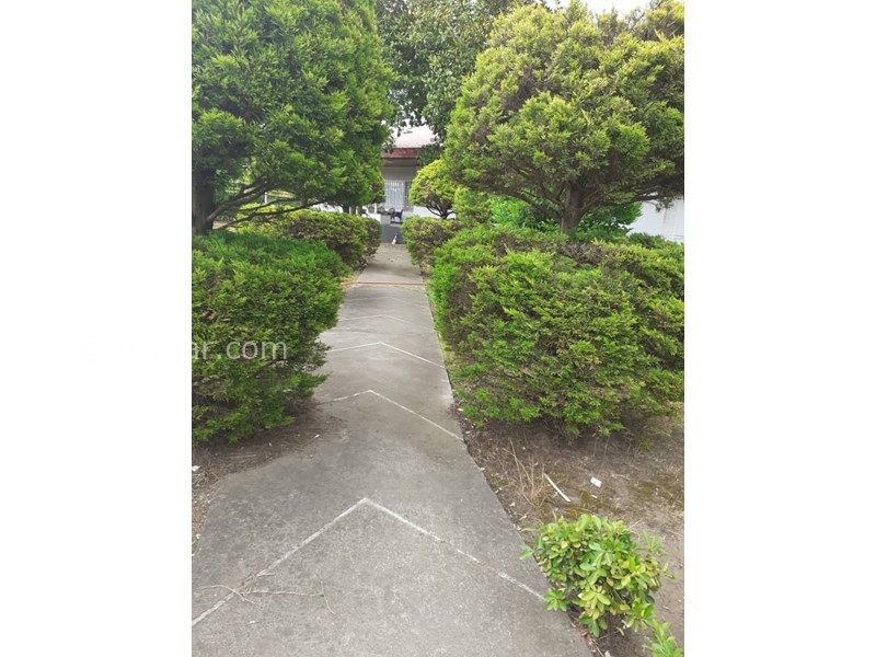 عکس شماره 637581 - اجاره روزانه ویلا در انزلی - 