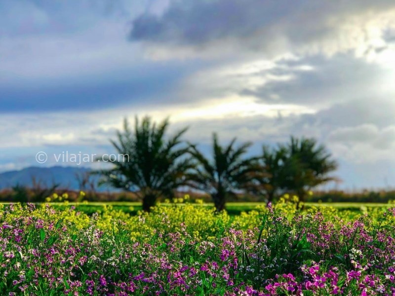 عکس شماره 637672 - مهمانسراى بومگردى رهاب - 