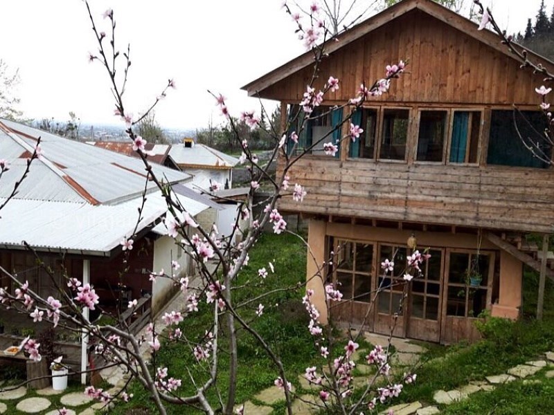 عکس شماره 637710 - اقامتگاه بومگردی کلبه چوبی -