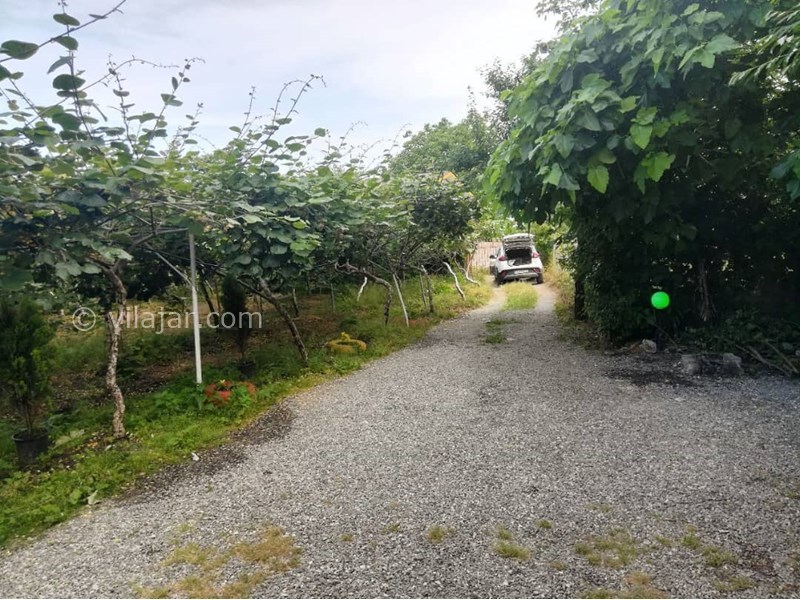 عکس شماره 639135 - اجاره ویلا باغ در تالش - 