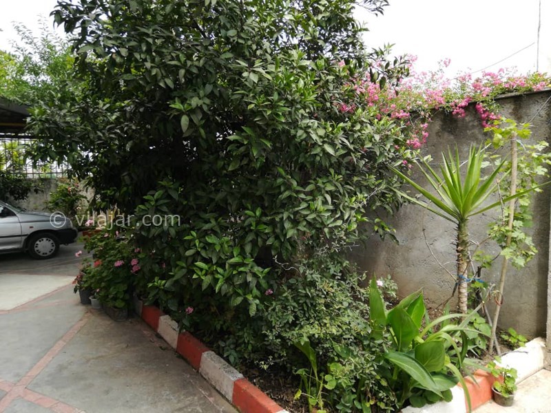 عکس شماره 639161 - اجاره سوییت در تالش - 