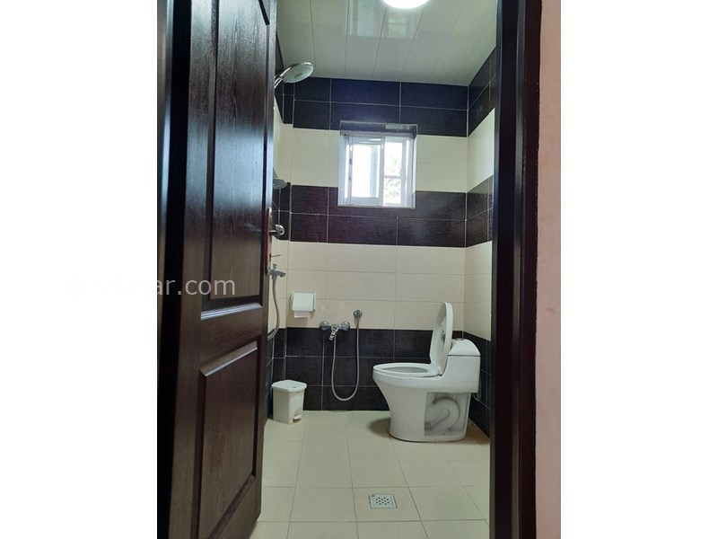 عکس شماره 639199 - اجاره ویلای استخردار جنگلی نوشهر - 