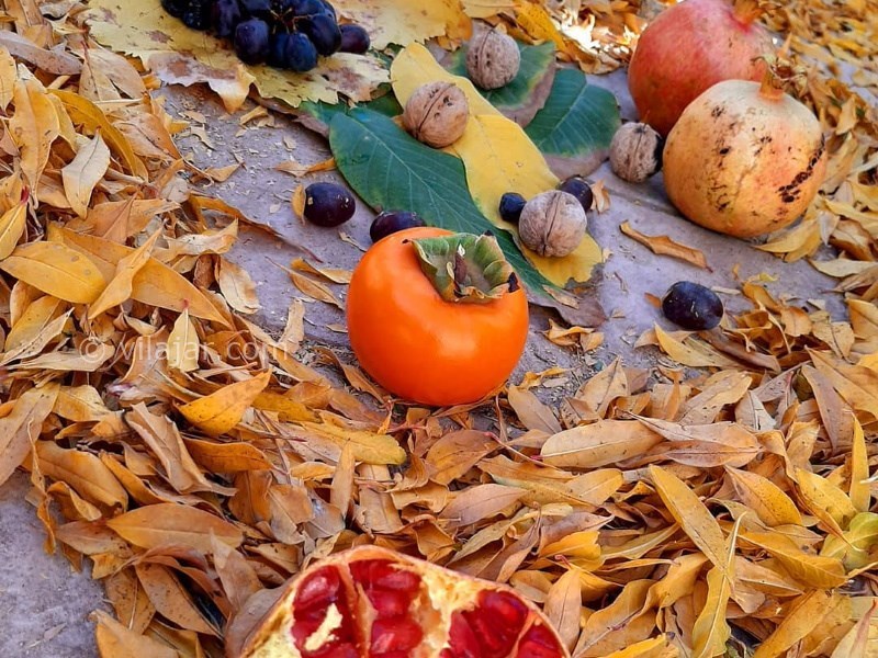 عکس شماره 639559 - اقامتگاه بوم گردی ماچلوس - 