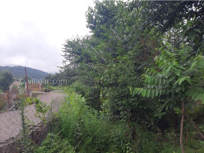 عکس شماره 639869 - اجاره ویلا باغ جنگلی شاندرمن - 