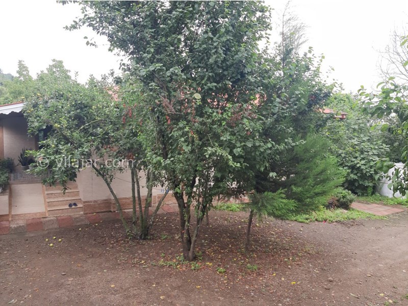 عکس شماره 639875 - اجاره ویلا باغ جنگلی شاندرمن - 