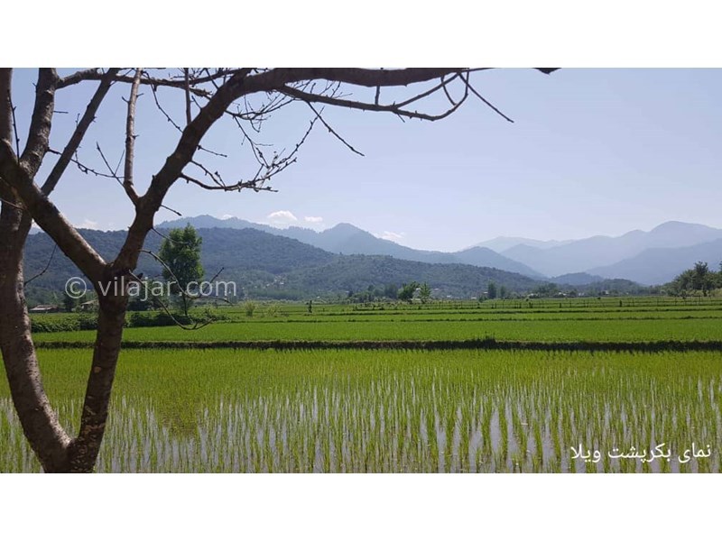 عکس شماره 640061 - رزرو ویلا باغ در ماسال - 