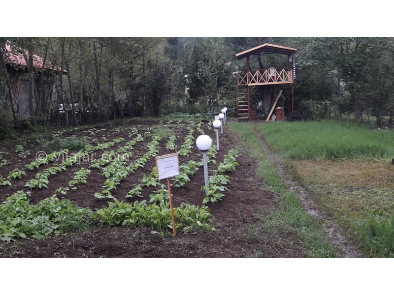 عکس شماره 640244 - خانه روستایی نزدیک رستم آباد - 