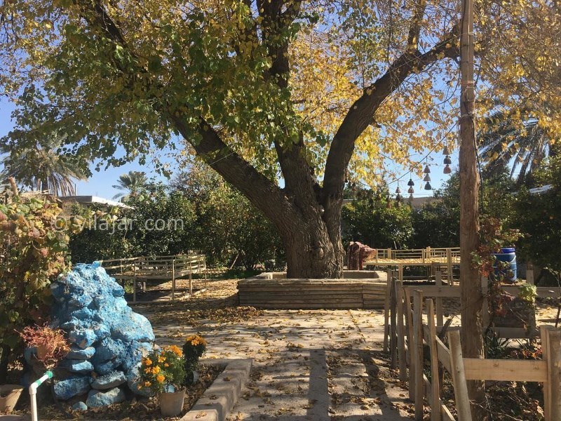 عکس شماره 640690 - اقامتگاه بوم گردی غریب خان - 