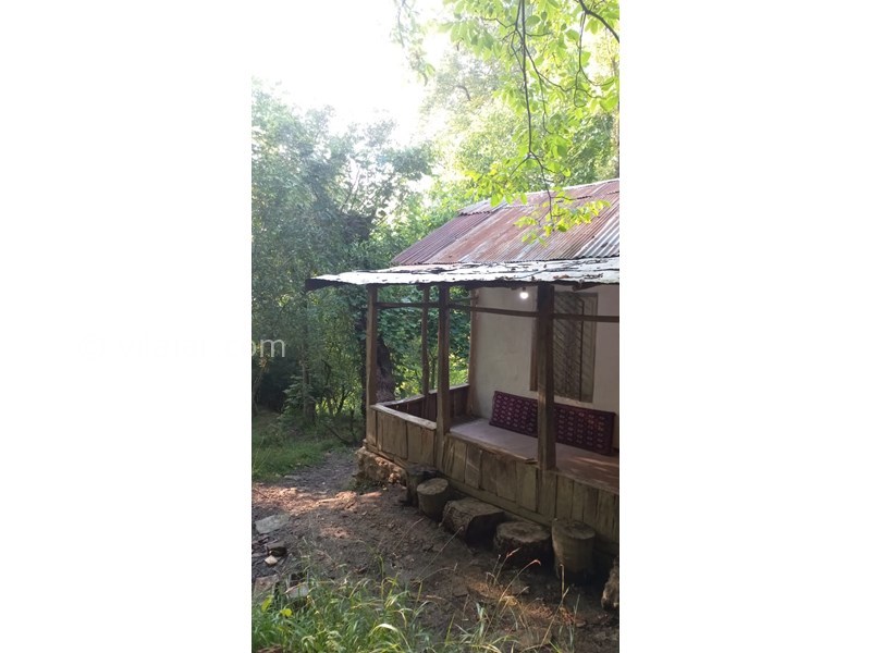 عکس شماره 640713 - اجاره کلبه جنگلی در سنگچال - فضای دنج کلبه