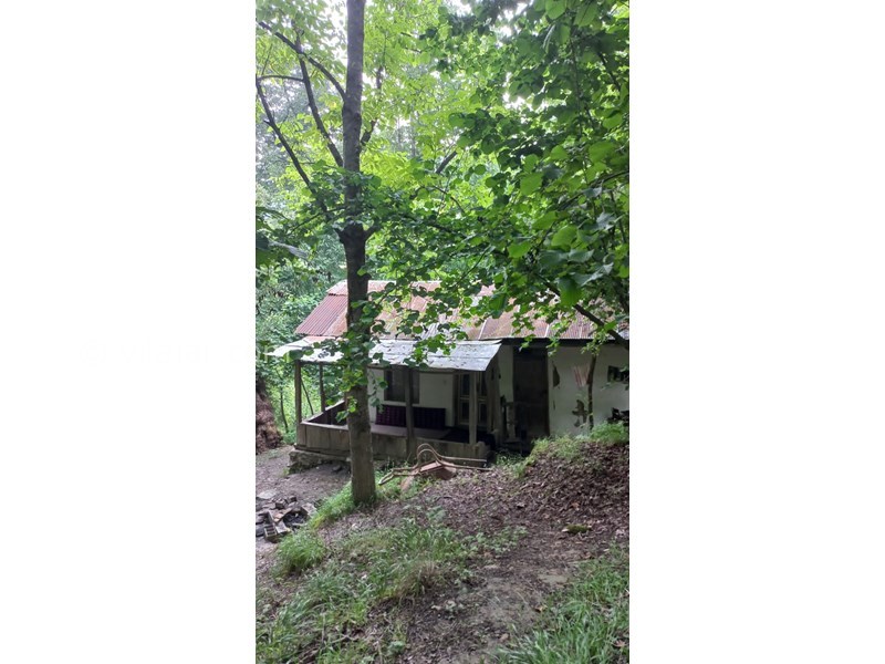 عکس شماره 640715 - اجاره کلبه جنگلی در سنگچال - 