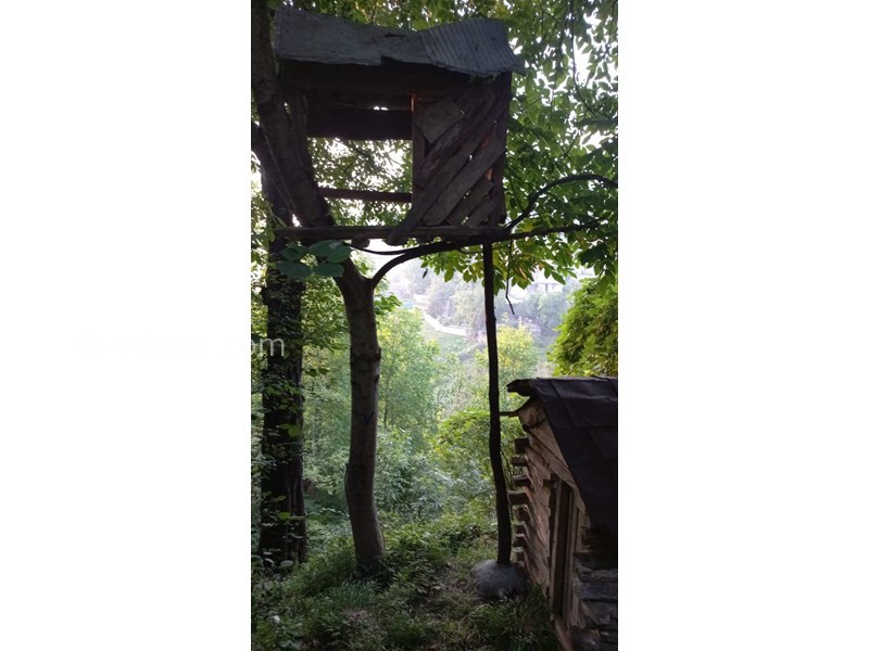 عکس شماره 640721 - اجاره کلبه جنگلی در سنگچال - کلبه درختی دونفره!