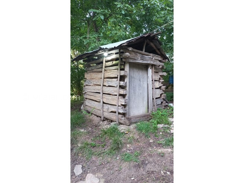 عکس شماره 640723 - اجاره کلبه جنگلی در سنگچال - 