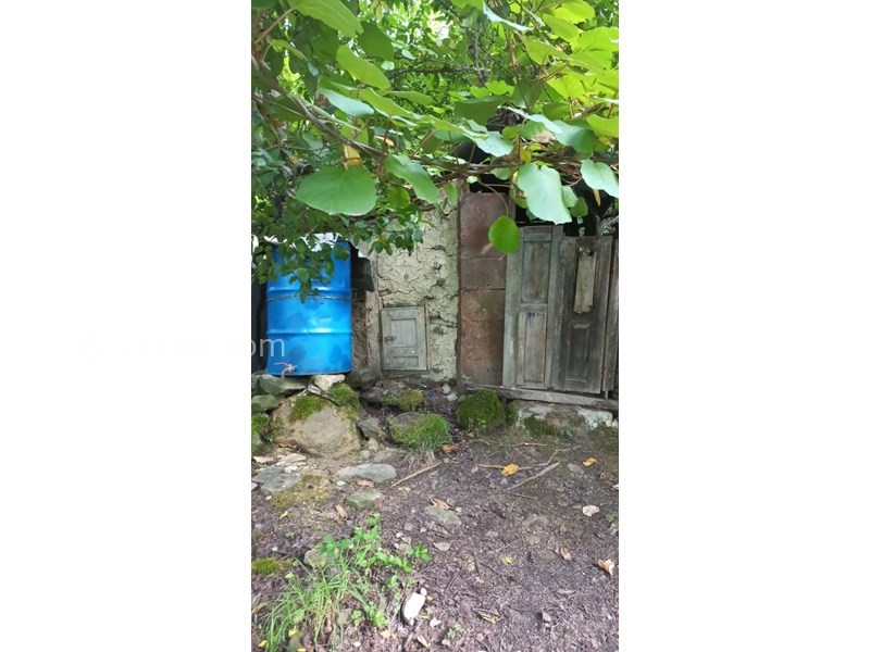 عکس شماره 640724 - اجاره کلبه جنگلی در سنگچال - 