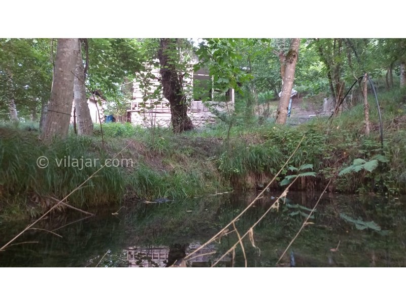 عکس شماره 640726 - اجاره کلبه جنگلی در سنگچال - برکه کنار کلبه