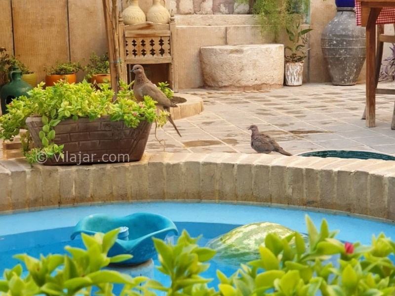 عکس شماره 640741 - اقامتگاه سنتی پسین - 