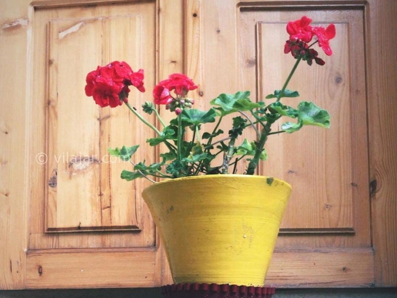 عکس شماره 640829 - اقامتگاه بوم گردی سرای همایونی -