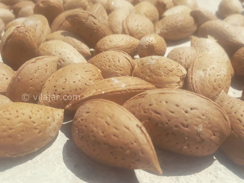 عکس شماره 640870 - اقامتگاه بوم گردی چشمه پیتا - بادام ارگانیک از محصولات اقامتگاه