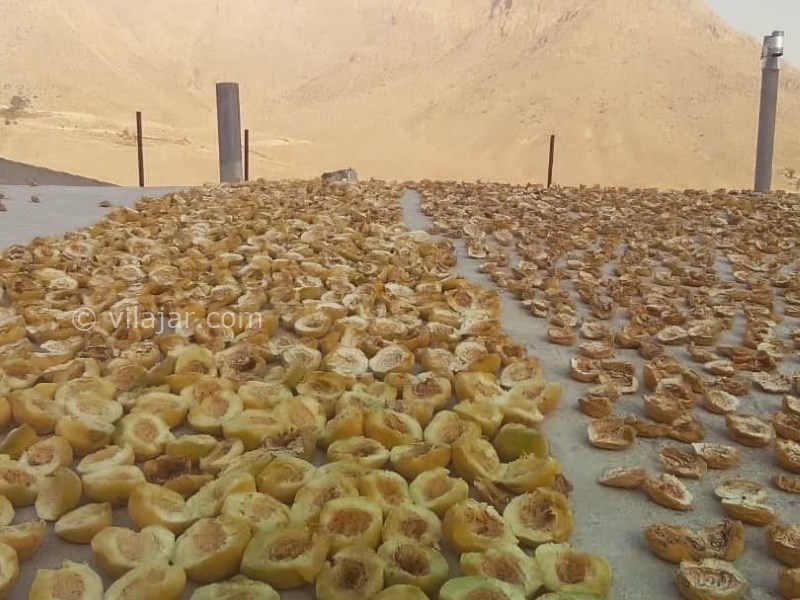 عکس شماره 640873 - اقامتگاه بوم گردی چشمه پیتا - برگه ارگانیک از محصولات اقامتگاه