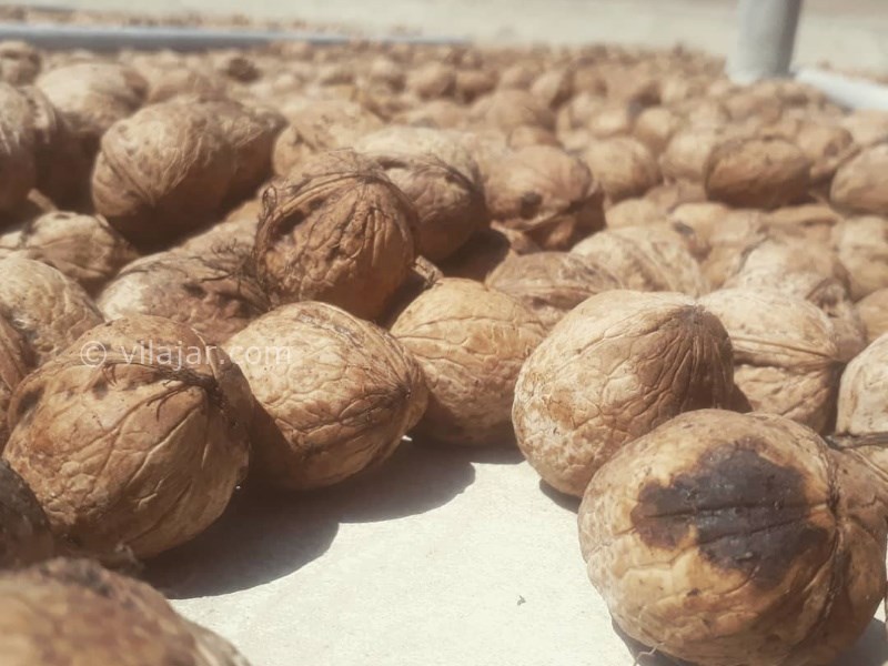 عکس شماره 640875 - اقامتگاه بوم گردی چشمه پیتا - 