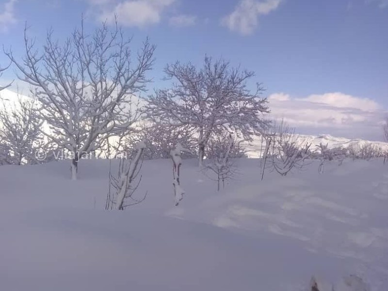 عکس شماره 640877 - اقامتگاه بوم گردی چشمه پیتا - زمستان برفی در بوانات