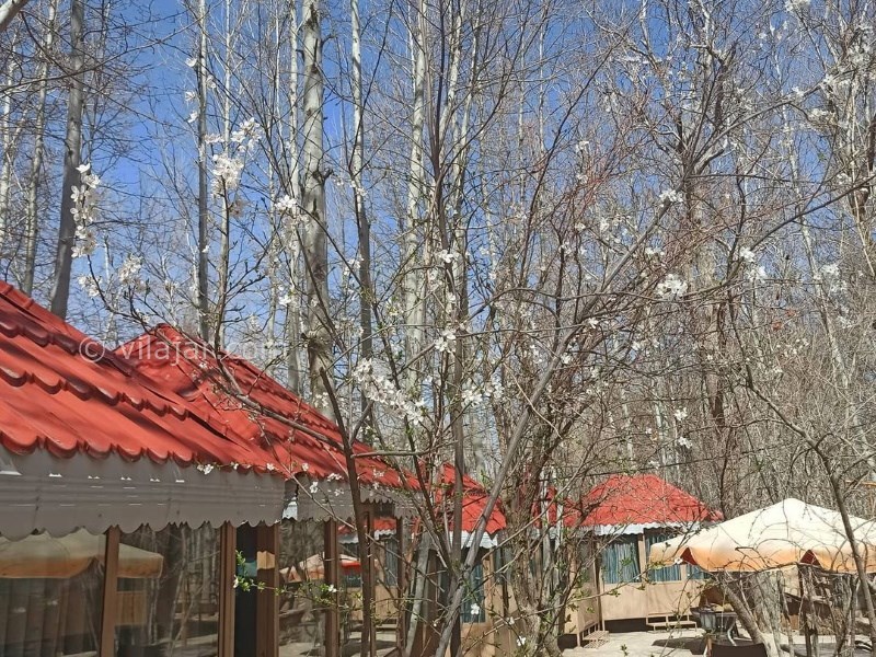 عکس شماره 640891 - اقامتگاه بوم گردی مونت قلات - 