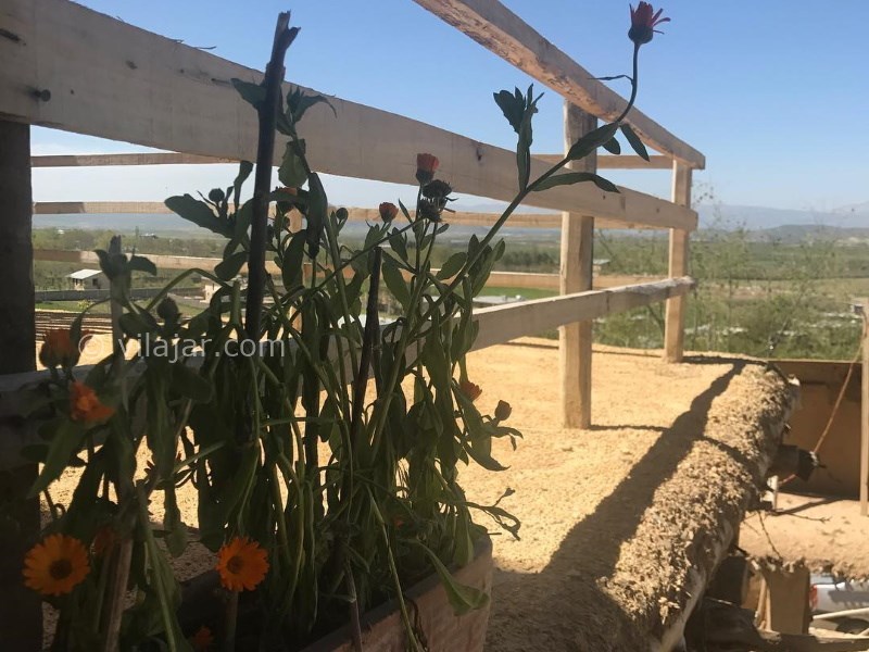 عکس شماره 640909 - اقامتگاه بوم گردی سرای هما - 