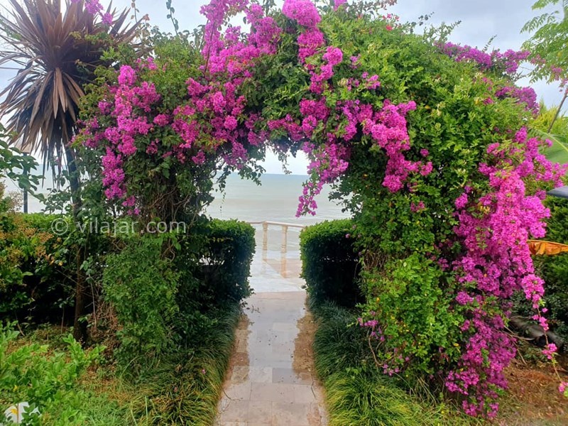 عکس شماره 641008 - ویلا استخردار با ساحل اختصاصی نوشهر - 