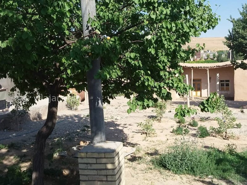 عکس شماره 641203 - اقامتگاه بوم گردی آنا آتا - 