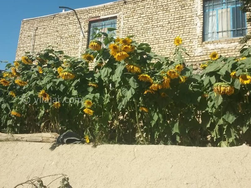 عکس شماره 641215 - اقامتگاه بوم گردی کوی نیک - 