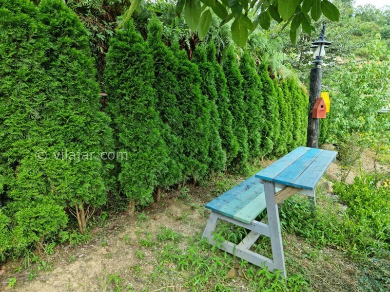 عکس شماره 641478 - اجاره ویلا چوبی در اربکله رامسر - 