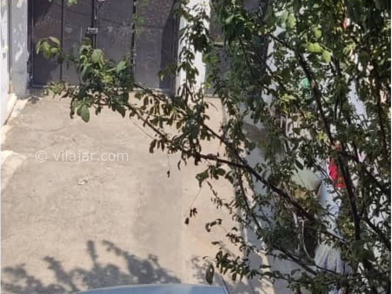 عکس شماره 641535 - اجاره ویلا در فریدونکنار - 