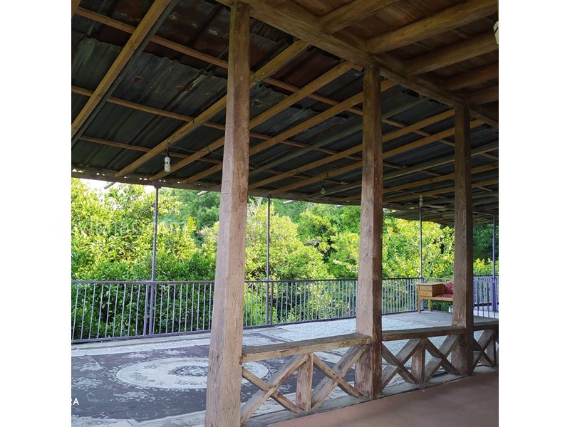 عکس شماره 641954 - اجاره ویلا روستایی در سوادکوه - 